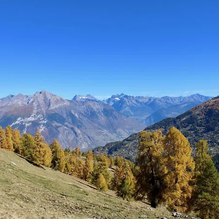 Lägenhet Attractive For Family Nendaz